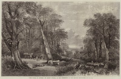 The Woods in Autumn by Henry Jutsum